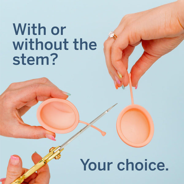 Load image into Gallery viewer, Small Period Disc