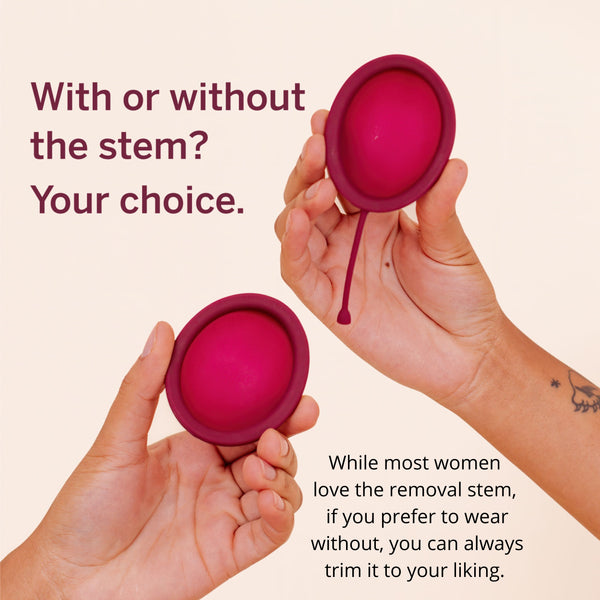 Load image into Gallery viewer, Medium Period Disc