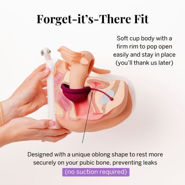 Load image into Gallery viewer, Small Period Disc