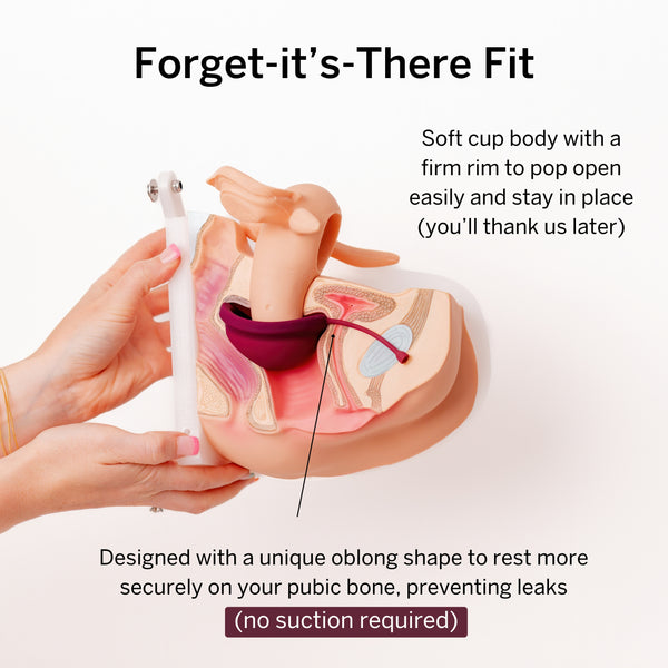 Load image into Gallery viewer, Medium Period Disc