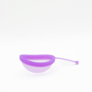 Small Period Disc