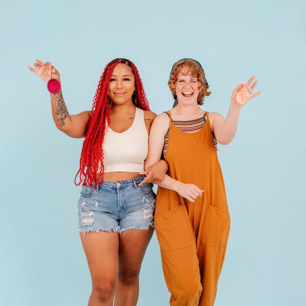 Steamer + Disc Bundle