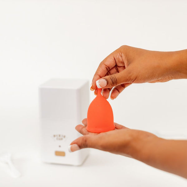 Steamer + Cup Bundle