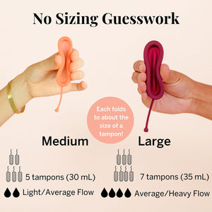 Period Disc & Applicator Kit