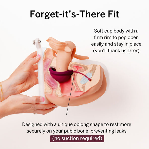 Load image into Gallery viewer, Combo Disc + Applicator Bundle
