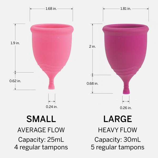 Steamer + Cup Bundle